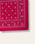 Vintage 1950’s Fast Color RN 14193 Bandana