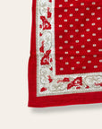 Vintage Early 1900’s Turkey Red Floral Border Bandana