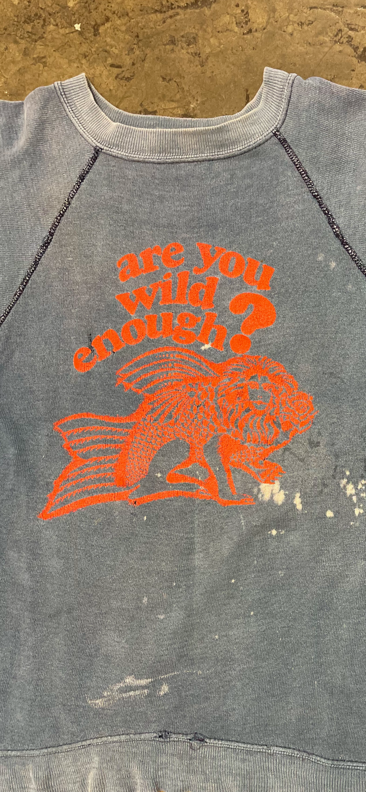 Vintage 1970’s Are You Wild Enough? Sweatshirt