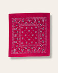 Vintage 1950’s Fast Color RN 14193 Bandana