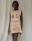 Vintage 1967 Iowa State Bowery Brawl Riot Stencil Dress