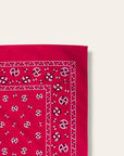 Vintage 1950’s Fast Color RN 14193 Bandana