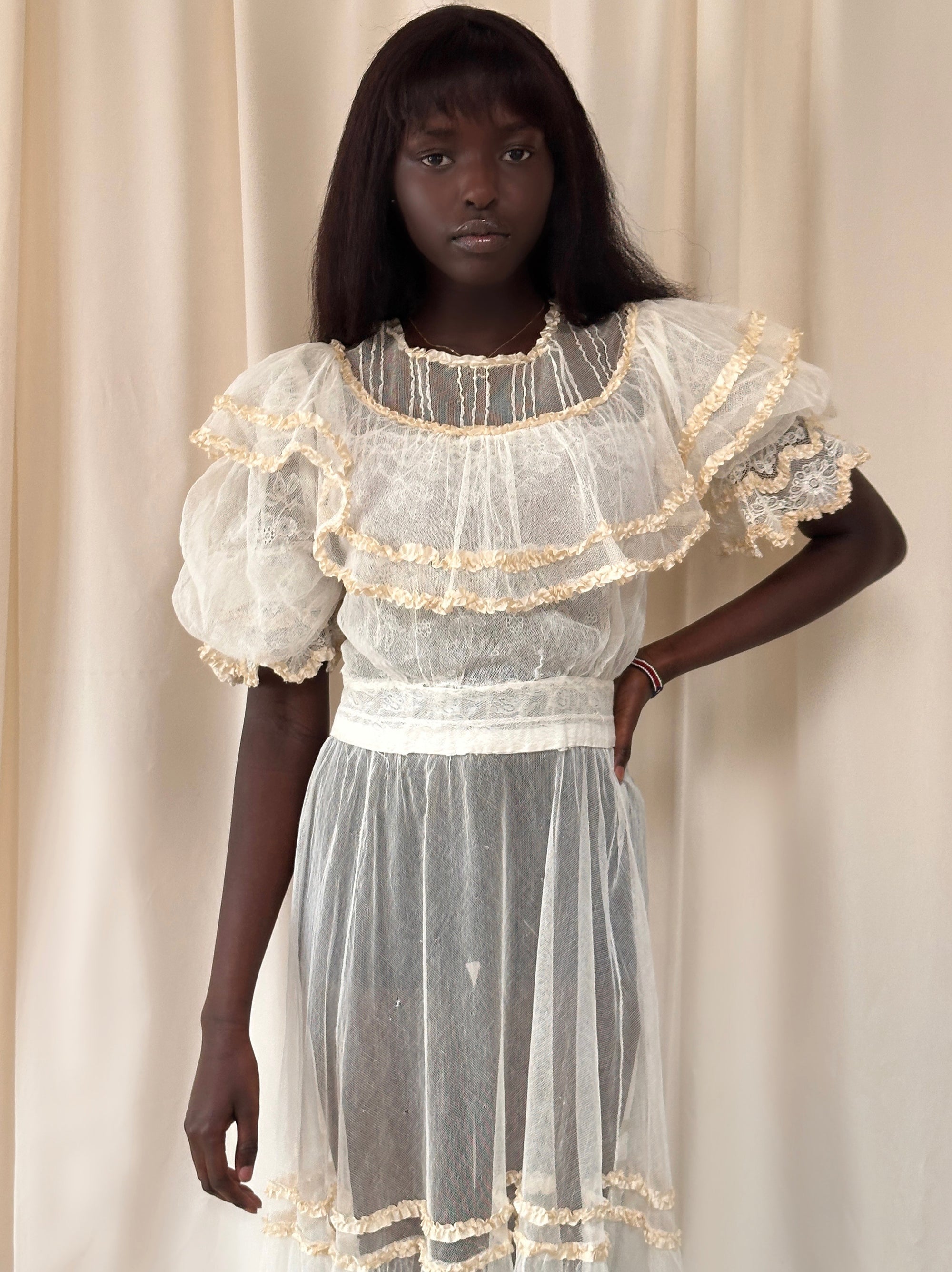 Vintage Edwardian Layed Mesh Tea Dress