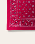Vintage 1950’s Fast Color RN 14193 Bandana