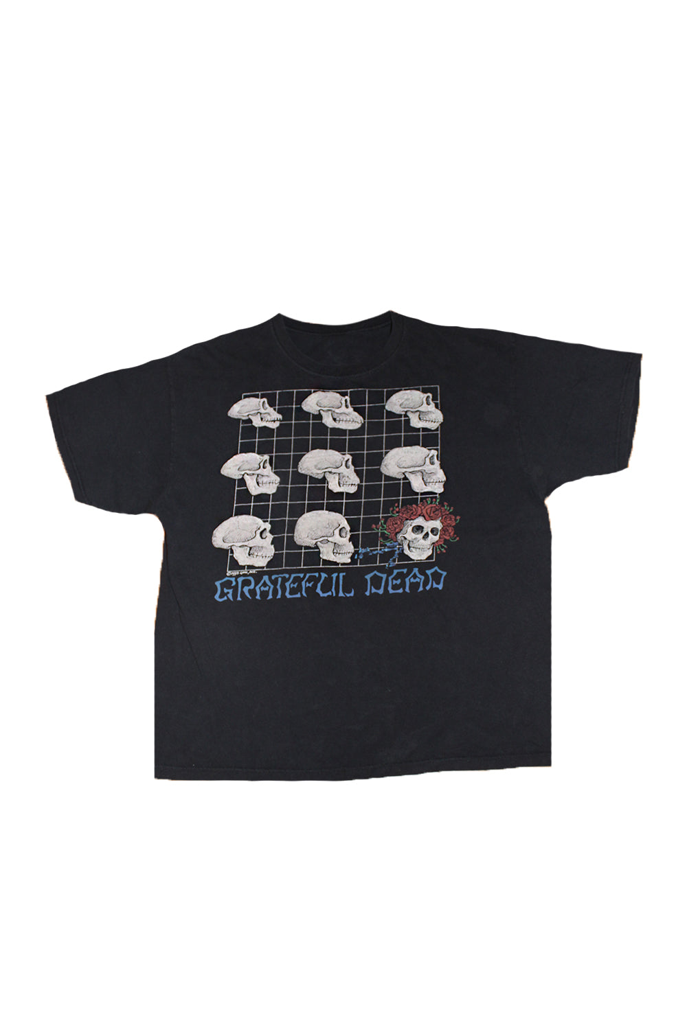 Vintage 90's Grateful Dead What A Long Strange Trip It's Been T