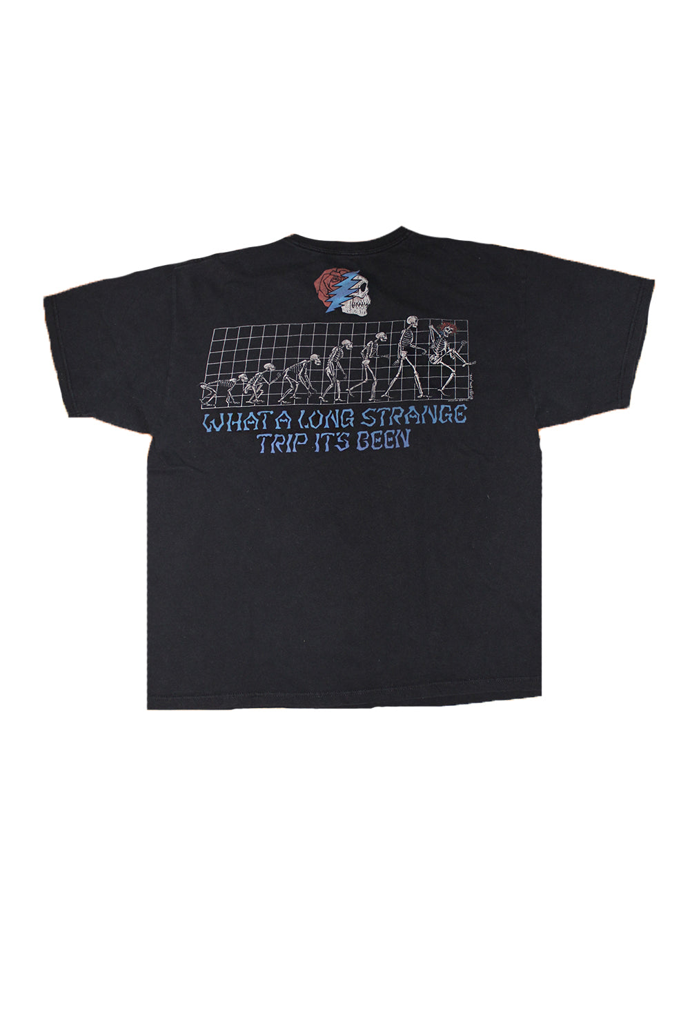 Vintage 90's Grateful Dead What A Long Strange Trip It's Been T