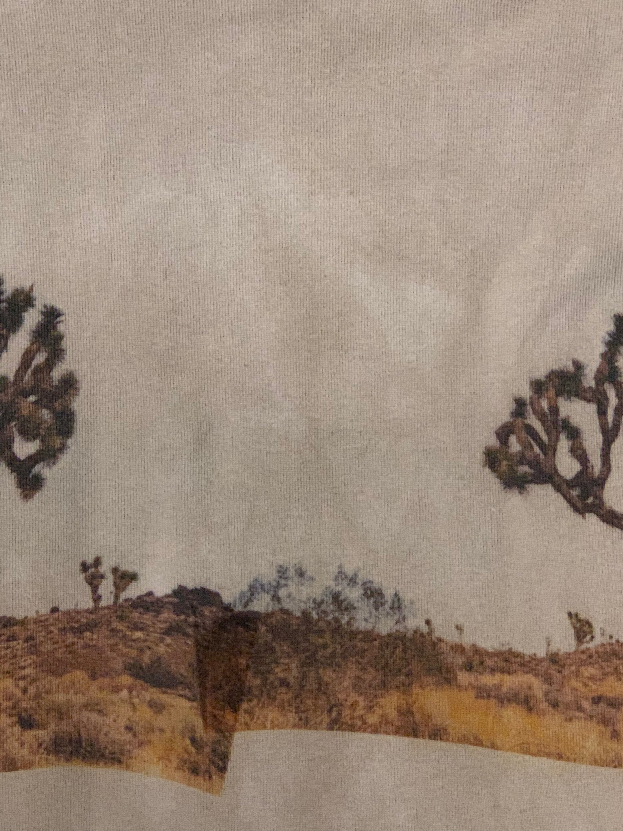 ALC- Joshua Tree Hand Dyed Long Sleeve T-Shirt