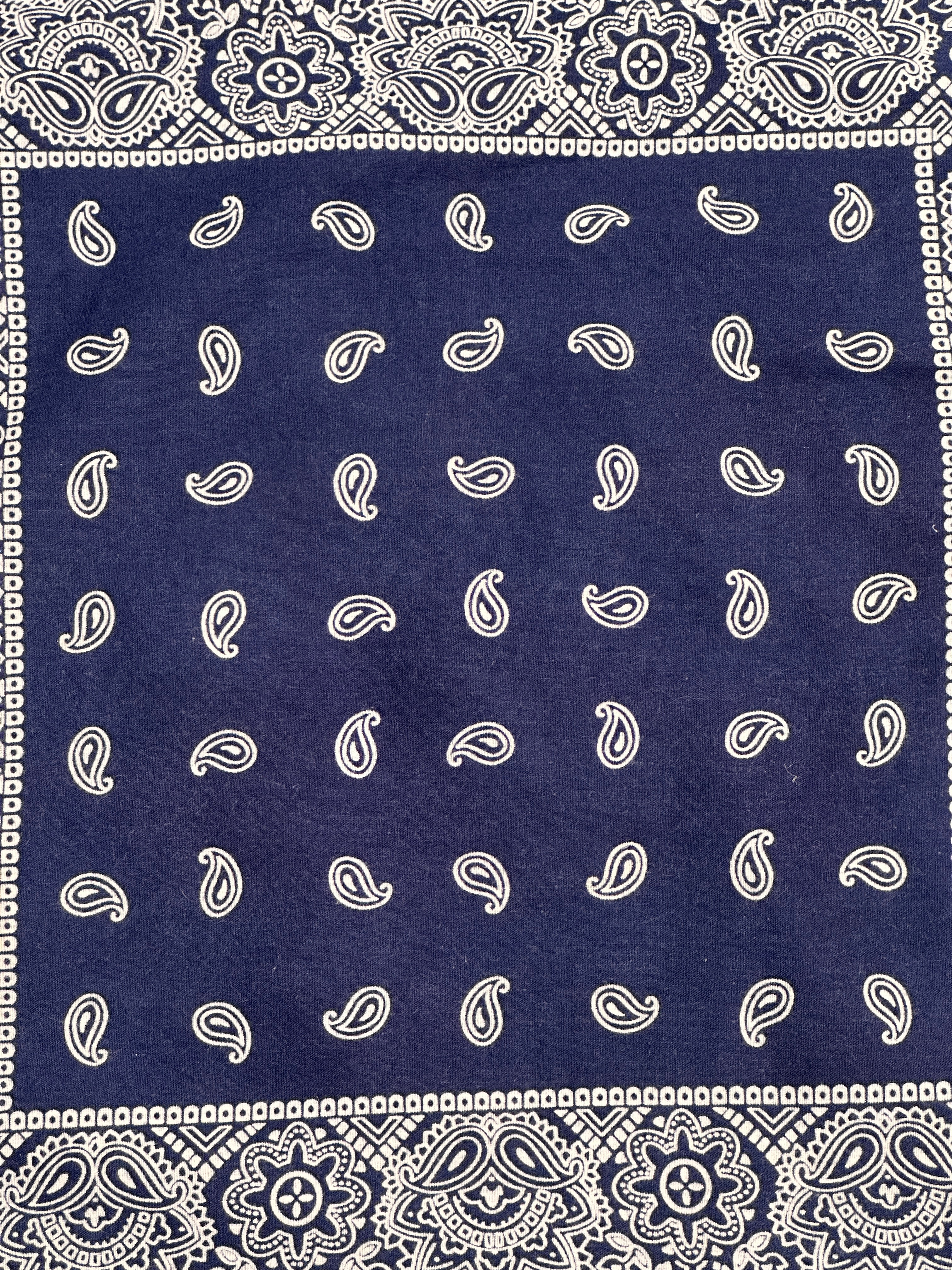 Vintage 1950's Indigo Paisley Fast Color Bandana – Afterlife Boutique