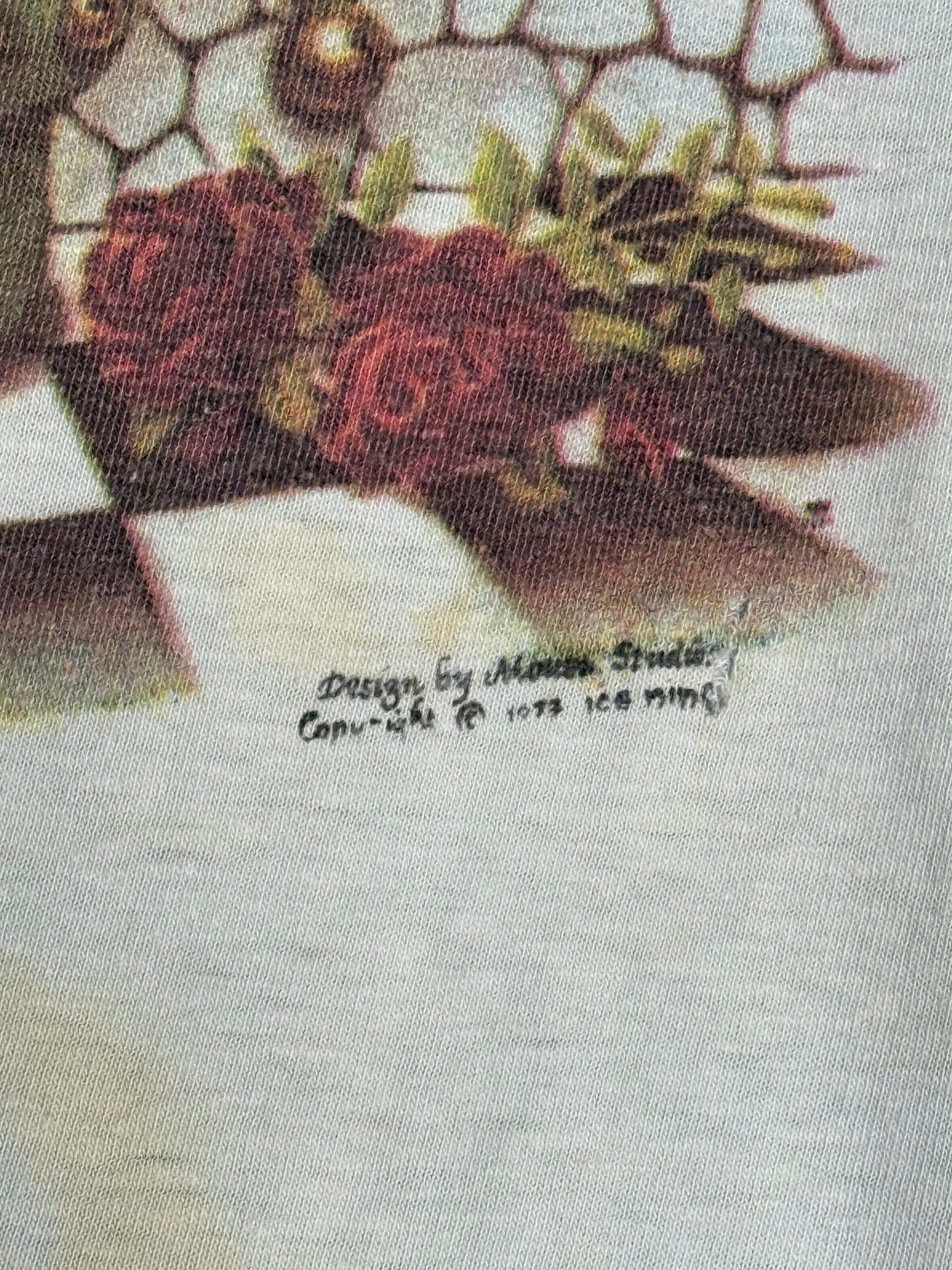 Vintage 1970’s Stanley Mouse T-Shirt | 1970s Grateful Dead Jester Tee
