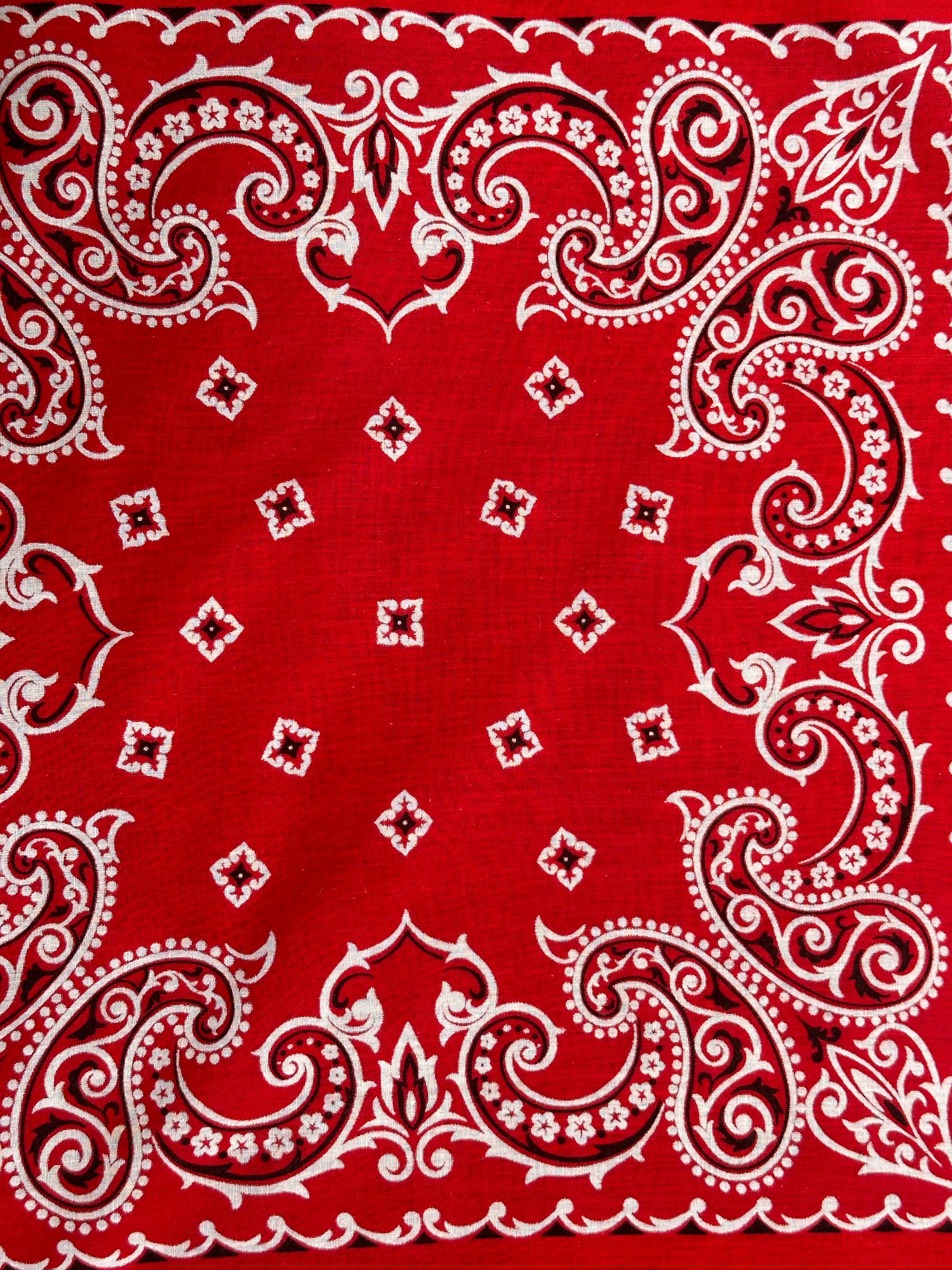 Vintage 1950's Paisley Fast Color Bandana – Afterlife Boutique