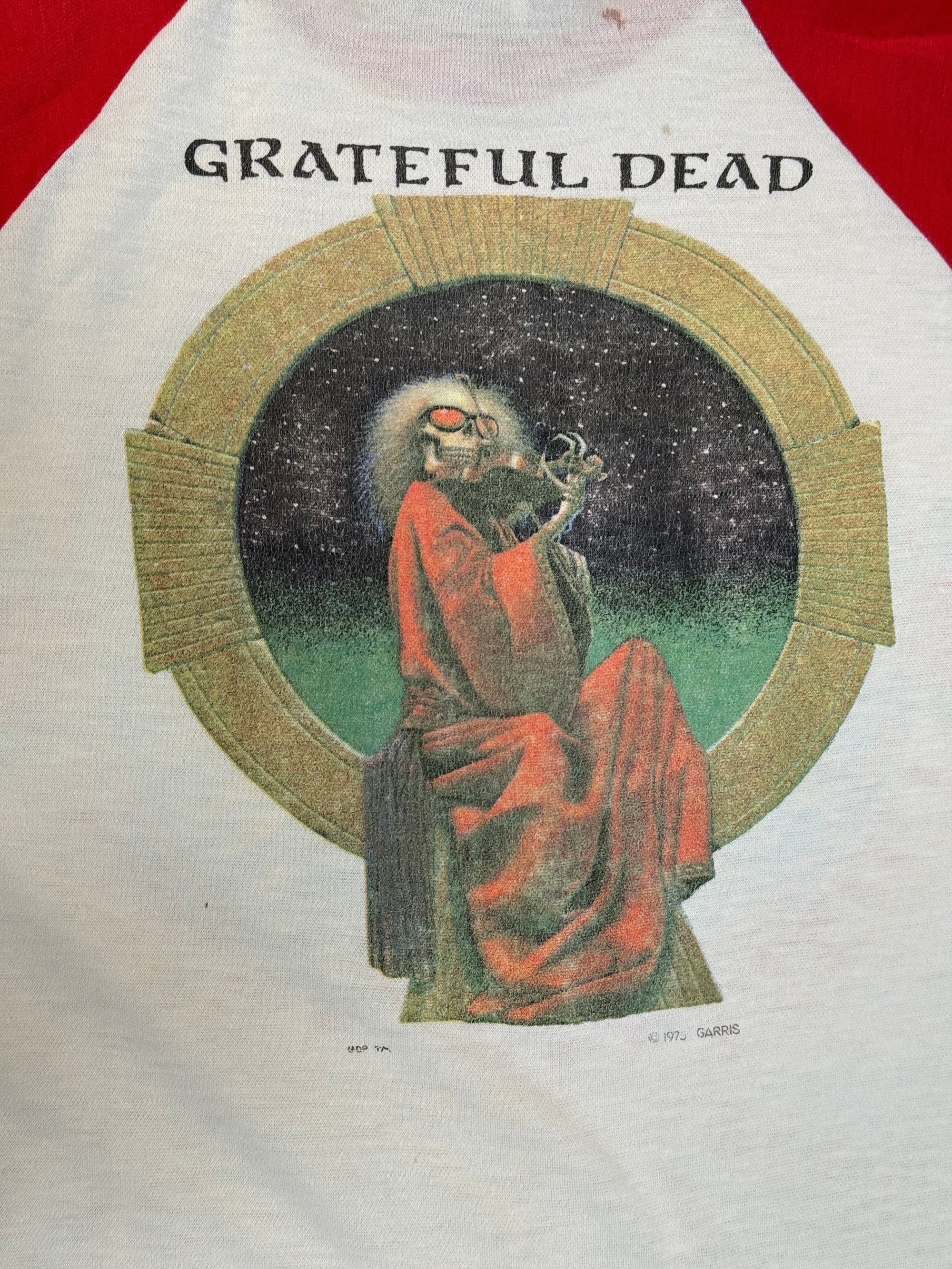 Vintage 1970’s Grateful Dead Kelley Mouse Bertha Phoenix T-Shirt