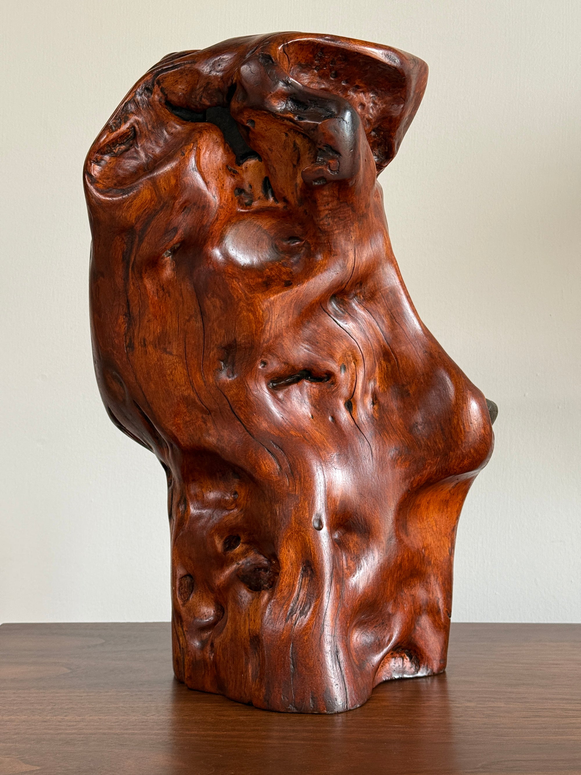 Vintage Mid Century Modern Organic Wood Sculpture | Hand Carved Burl Wood Abstract Biomorphic Art | MCM Naturalist Decor
