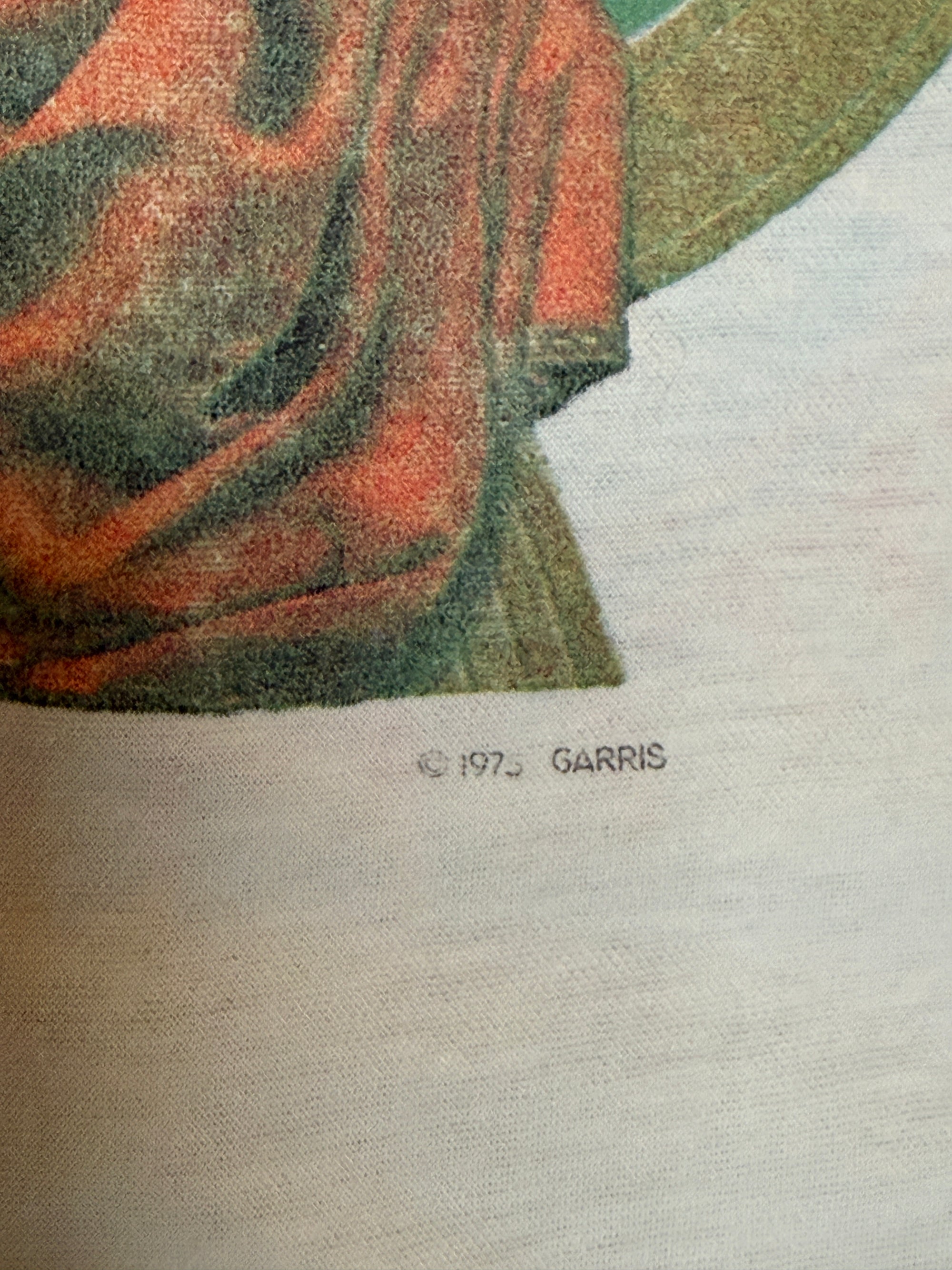 Vintage 1970’s Grateful Dead Kelley Mouse Bertha Phoenix T-Shirt