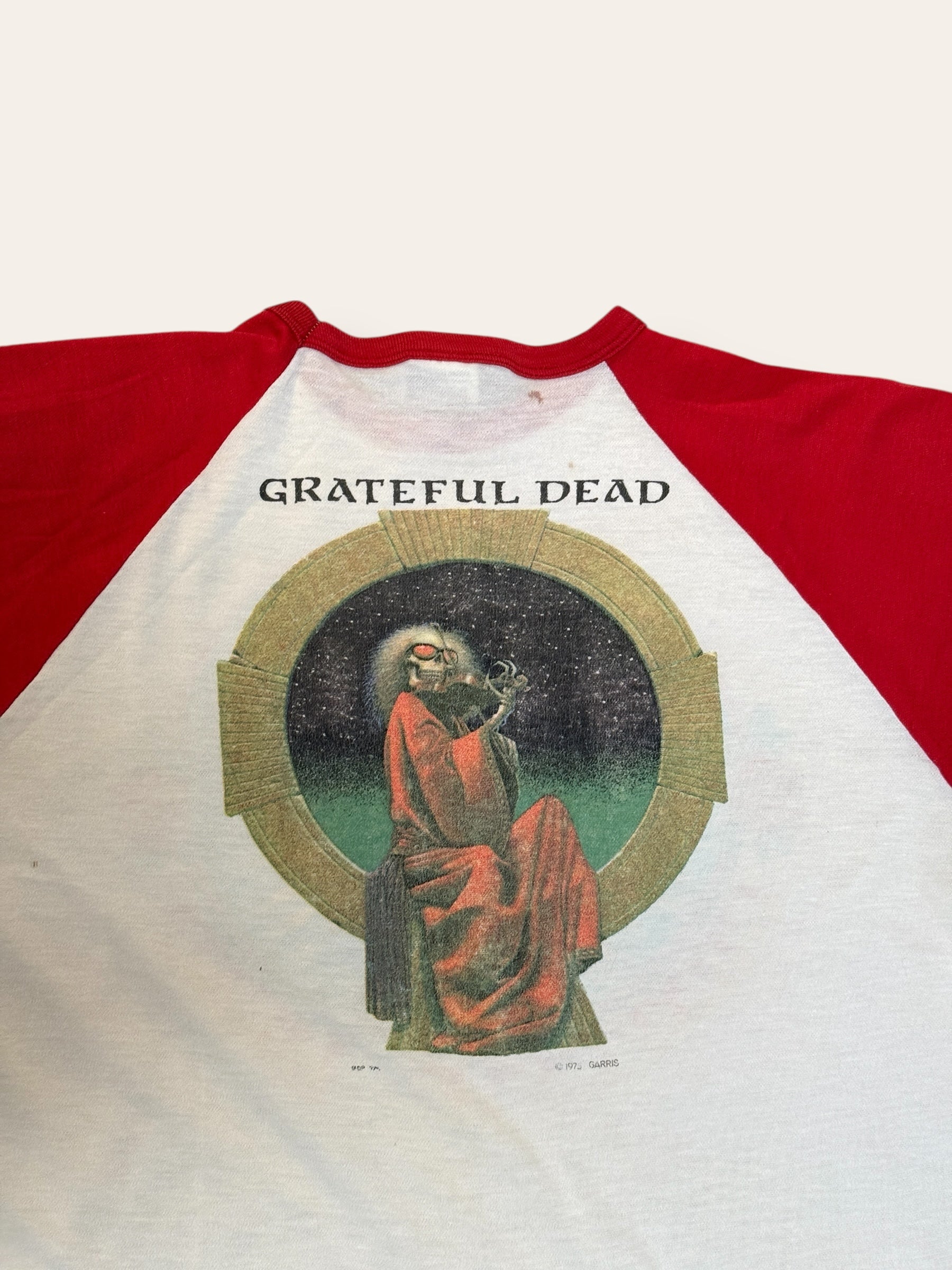 Vintage 1970’s Grateful Dead Kelley Mouse Bertha Phoenix T-Shirt