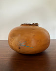Vintage Signed Hand Turned Elm Fork Turquoise Inlay Burl Wood Bowl | Live Edge Natural Art Turned Vessel