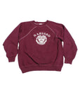 Vintage Harvard Sweatshirt